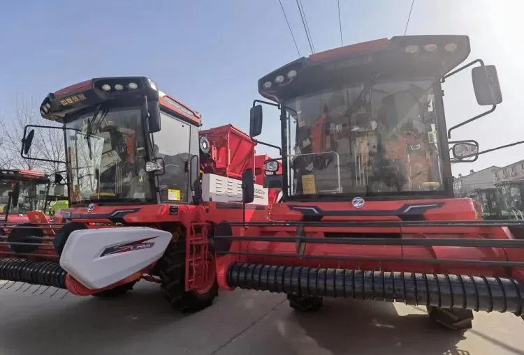 _20220428113815 _20220428113815